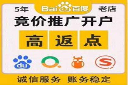 深度解析百度广告竞价：成功案例分享